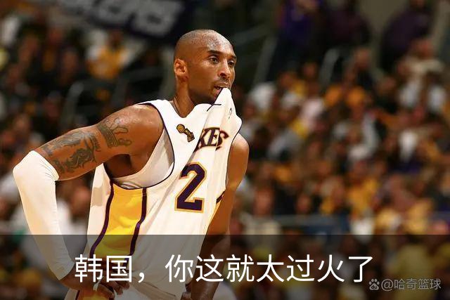 韩国，你这就太过火了